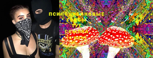 круглые Бородино