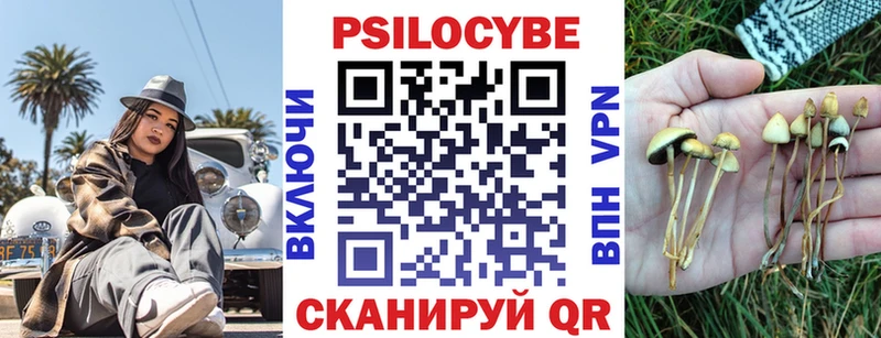 Купить где  Дубовка  Псилоцибиновые грибы Cubensis 